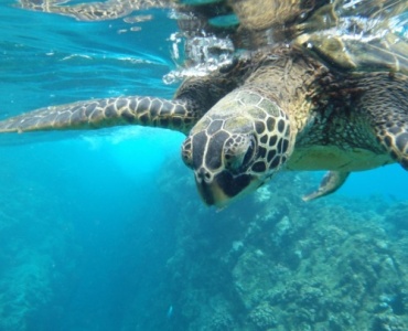 Czy warto polecieć w sierpniu na ekskluzywne wakacje na Galapagos?