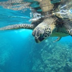 Czy warto polecieć w sierpniu na ekskluzywne wakacje na Galapagos?